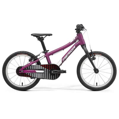 Kinderräder in Gmunden – Sicher und spielerisch Radfahren mit C.R.W. Sports